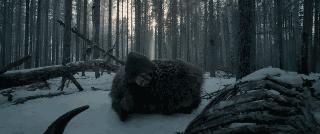 想不想跟着小李子体验“荒野猎人”一日游？