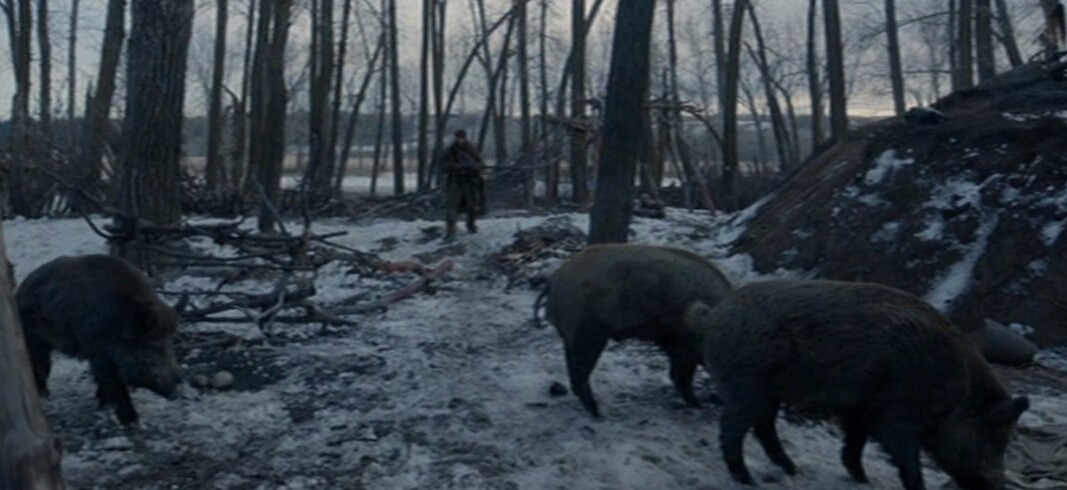 想不想跟着小李子体验“荒野猎人”一日游？