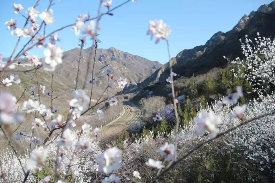 开往春天的列车图片唯美,开往春天的列车看图作文