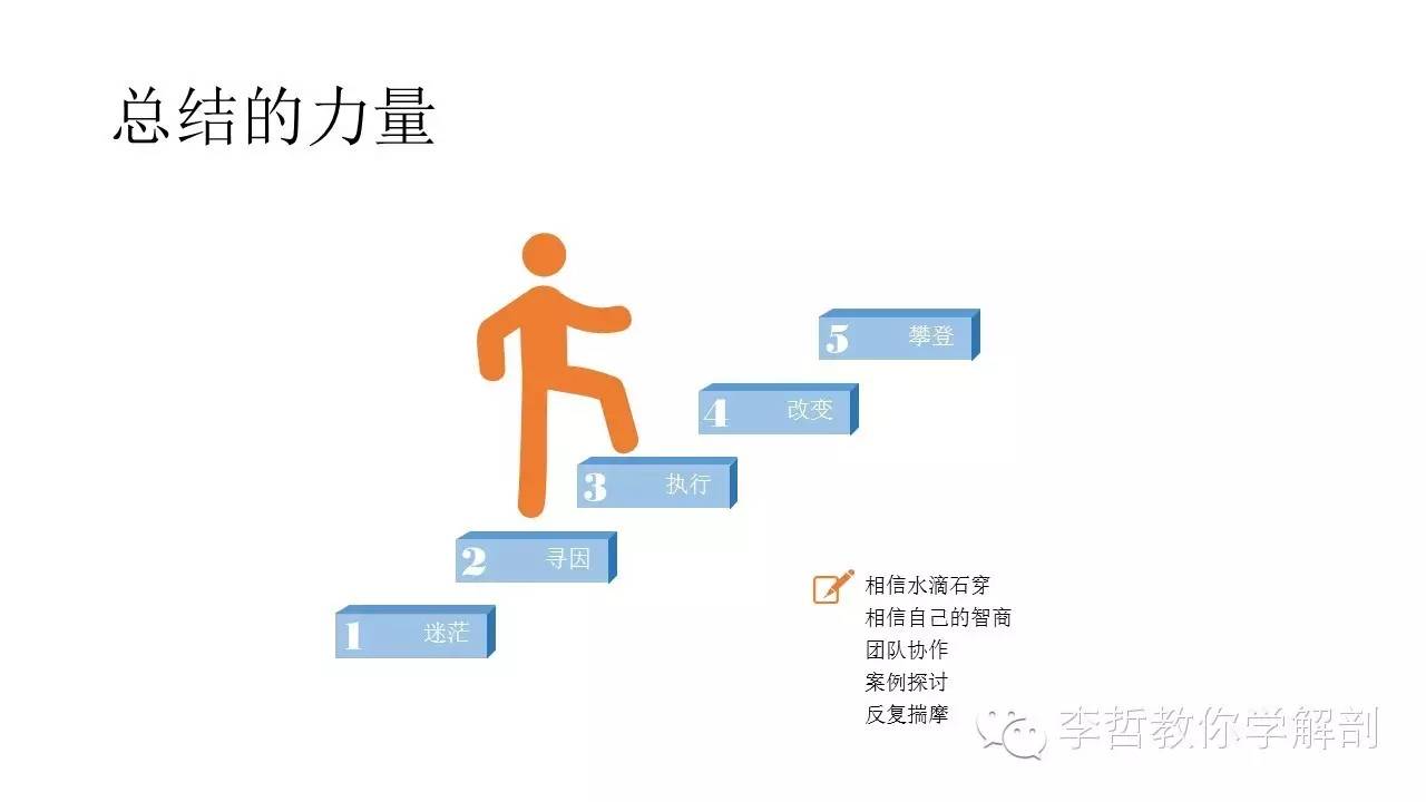 康复治疗学物理治疗,功能解剖学主要介绍什么
