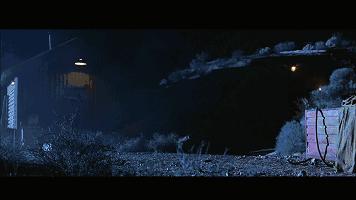 密集恐惧症慎点完整版,密集恐惧症