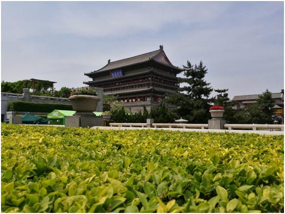 流滑得让你爱不释手荣耀V8全面评测