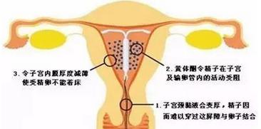 上环有十几年了不取对身体有害吗,上环一个月了还出血对身体有害吗