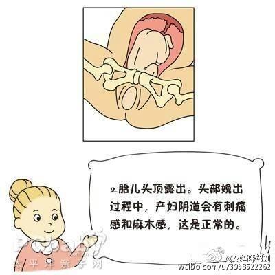 分娩子宫峡部变化,子宫颈细胞变化