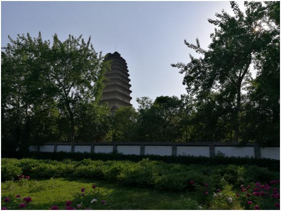 流滑得让你爱不释手荣耀V8全面评测