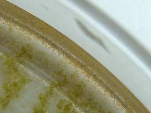 海缸好玩的小生物,海缸稀奇生物