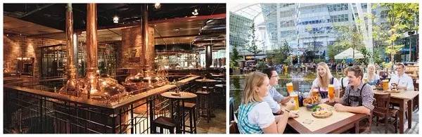 慕尼黑完整版在哪能看,慕尼黑完整版电影