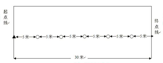 上海初升高体育考试项目及标准,上海初中体育合格为几分