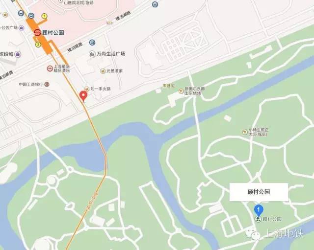 看樱花不用远赴日本,看樱花不用去武汉关庙也可以看