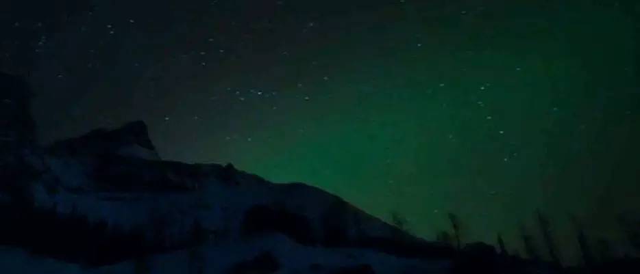 想不想跟着小李子体验“荒野猎人”一日游？