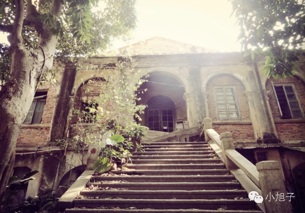 厦门清明两天一夜旅游,清明节厦门六日游旅游攻略