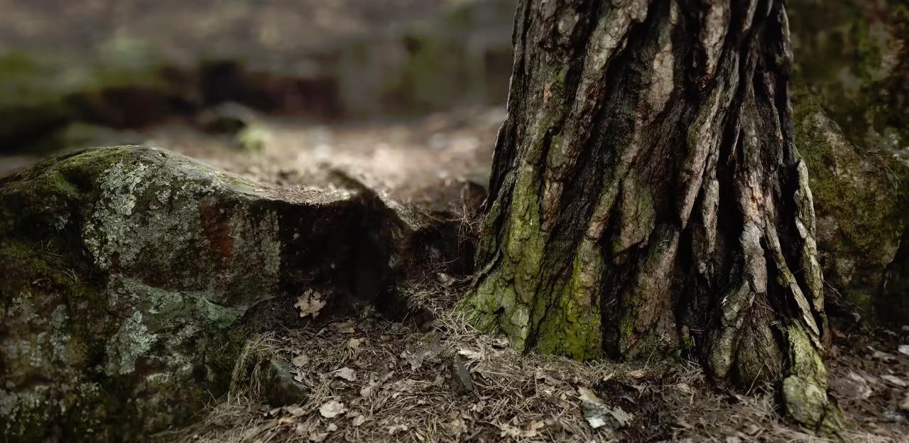 *点G**新闻老卡旗下PSP打折促销让你们见识什么叫做“海底捞”