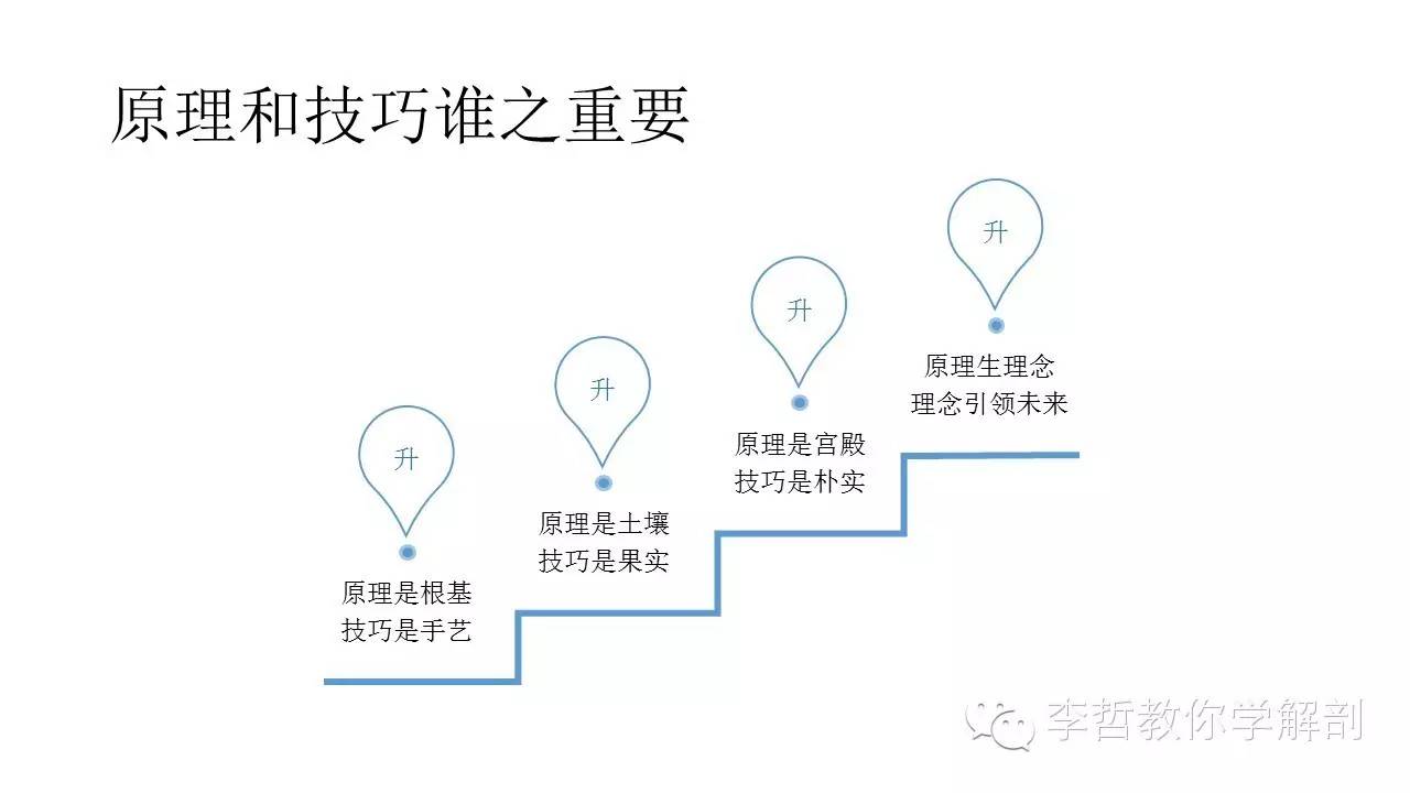 康复治疗学物理治疗,功能解剖学主要介绍什么