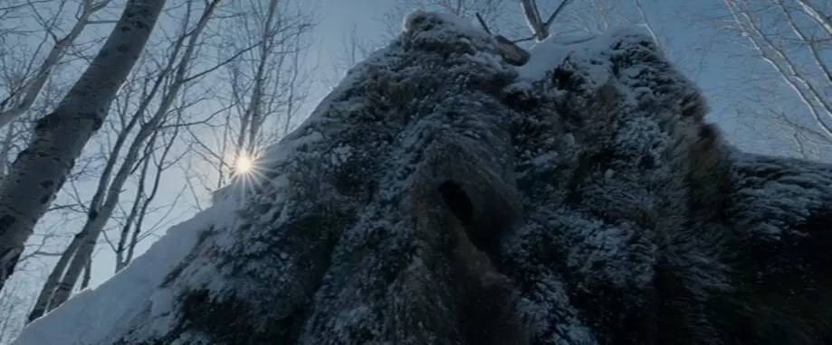 想不想跟着小李子体验“荒野猎人”一日游？