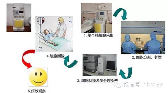 揭秘记者亲感：血液中“星星之火”如何体外培养成抗癌主力