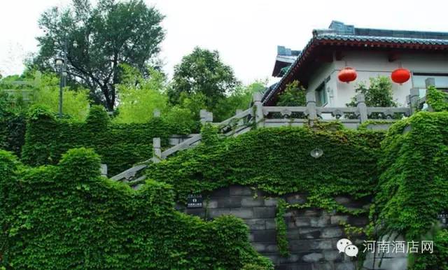 河南风景最美的16家酒店，你去过几个？