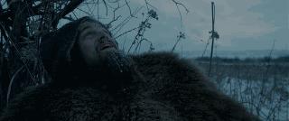 想不想跟着小李子体验“荒野猎人”一日游？