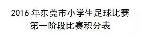 东莞中小学生校园足球联赛,东莞市南城第19届小学生足球比赛