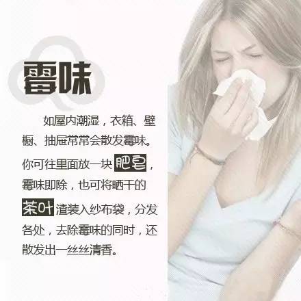 屋子里臭怎么快速去味,家里臭什么方法最快解决