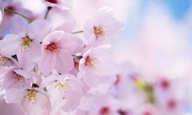 成都周边避暑的冷门景点排名榜单,成都周边比较凉快的景点