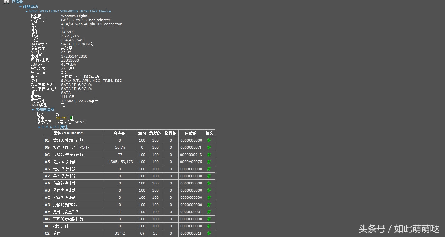 Speccy-小巧易用的电脑硬件检测工具全方位了解你的电脑