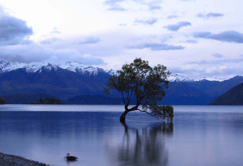 新西兰旅游自由行最佳路线攻略,新西兰纯净之路