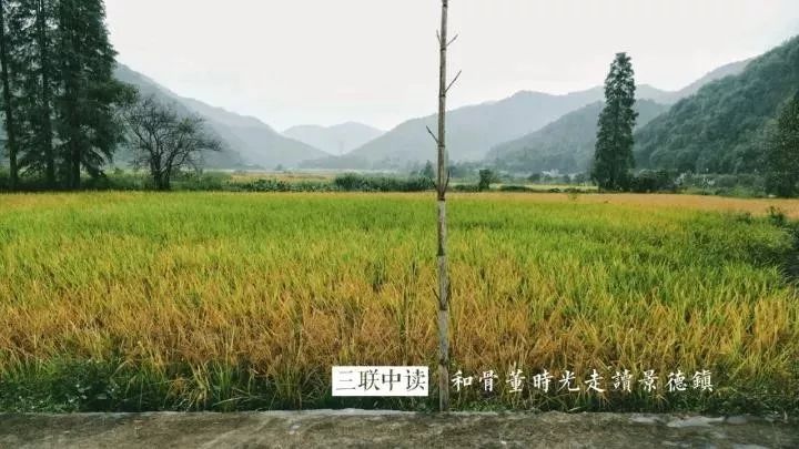 景德镇瓷器与假景德镇瓷器,景德镇瓷器的那些事儿