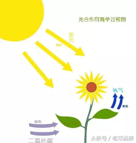 西铁城光动能为什么叫这个名字,西铁城光动能为什么总是慢一小时