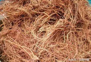 65种单方大全,一味药治病单方大全