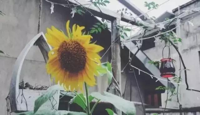 武汉网红甜品店推荐品牌,十大网红甜品店