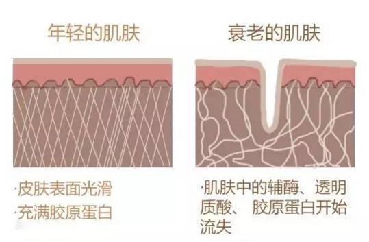 最好用的抗老系列产品,目前用过最好用的抗老产品