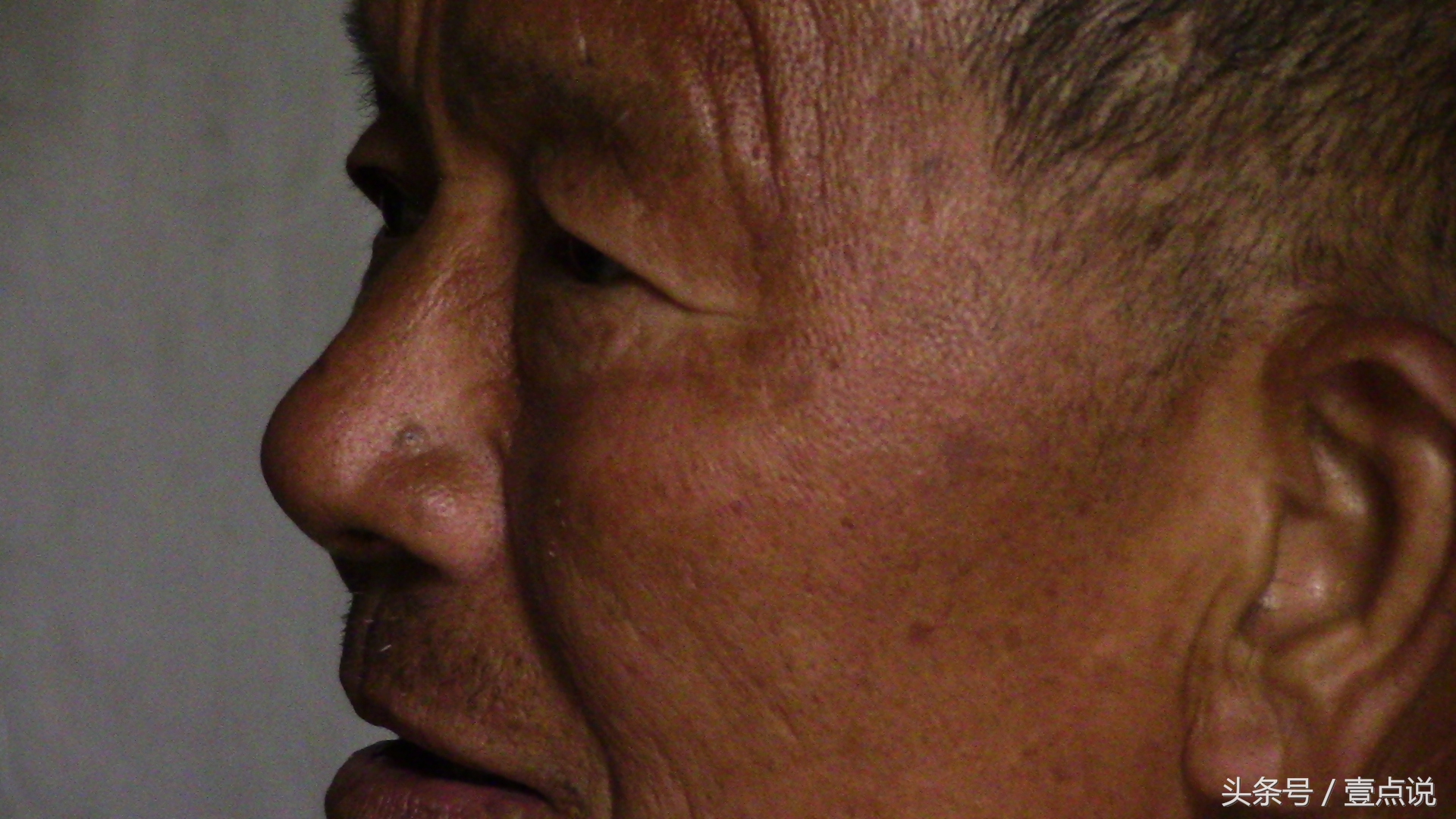 野草遮不住太阳的光芒是什么意思,草遮不住鹰眼水遮不住鱼眼