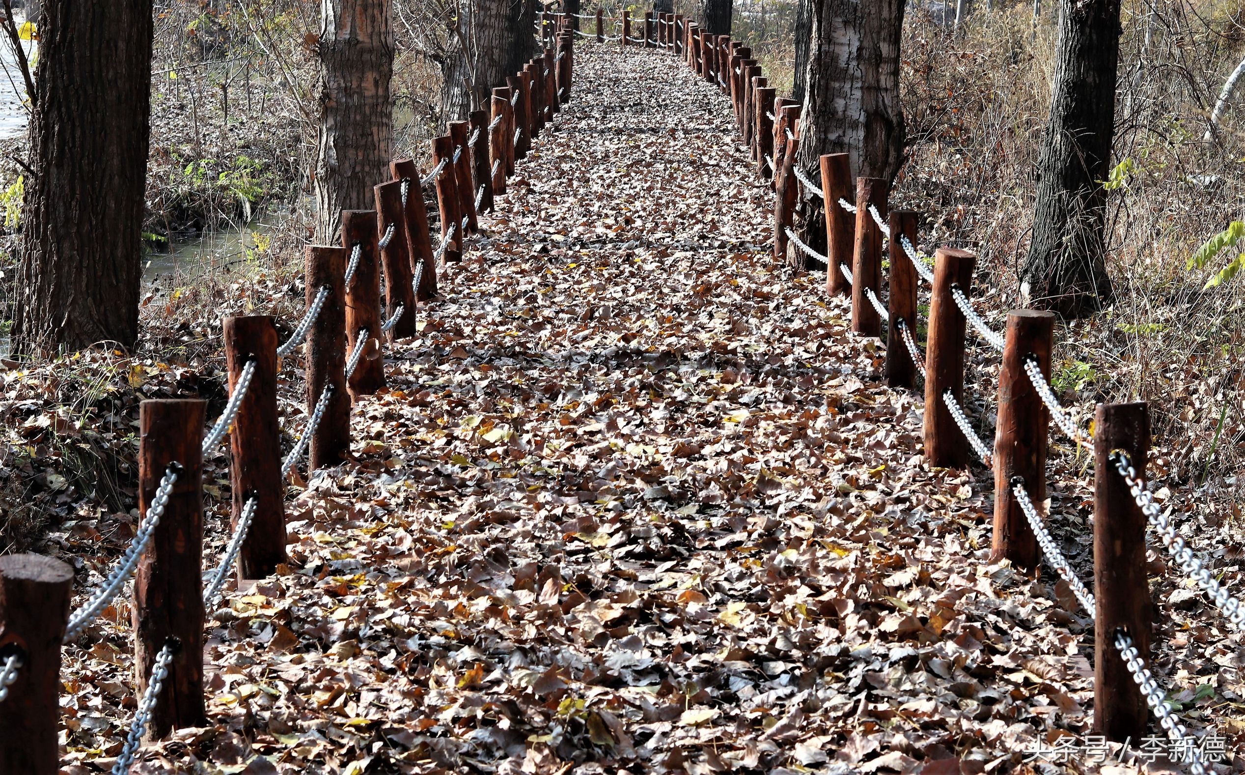 带着佳能相机去旅游图片,带着佳能r10去旅游