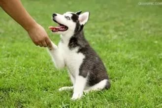 半程马拉松的达成及过程中的减伤！建议跑步的都看看，特别初跑者