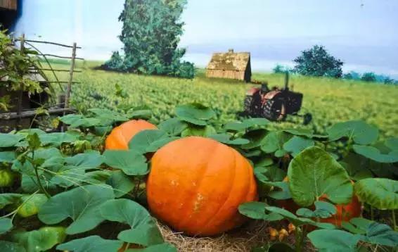 救国家于危难救民族于存亡的人,救人民于水火助人民于危难