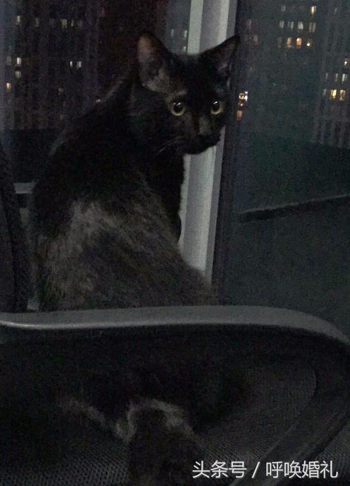 适合圆脸万圣节妆容教程,万圣节搞笑妆容教程