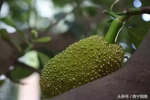 你好南宁纪录片,南宁师范大学介绍