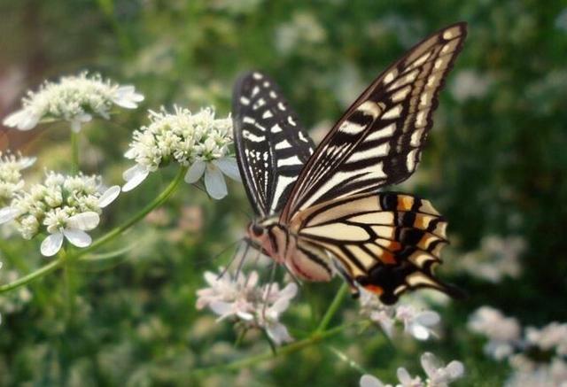 事业单位被老油条欺负怎么办,职场规则与应对方法
