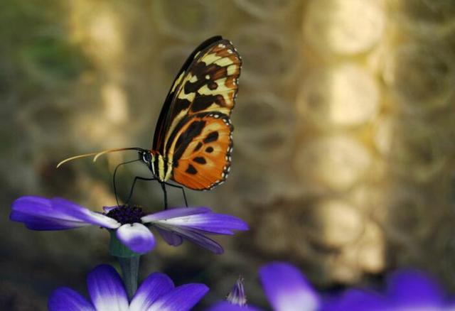 事业单位被老油条欺负怎么办,职场规则与应对方法