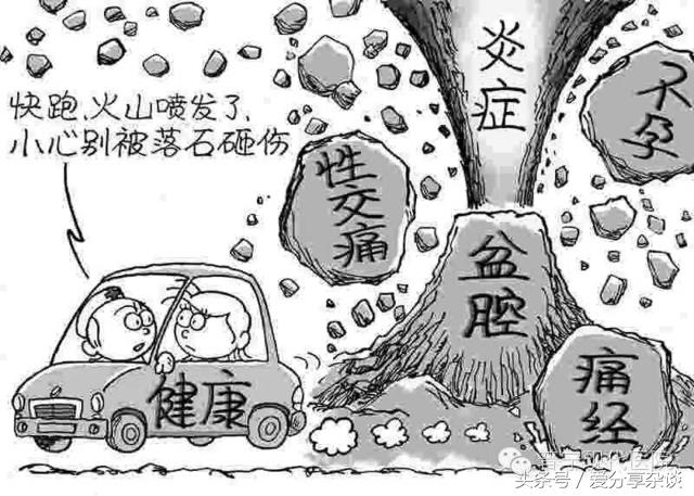 白果治妇科病最好的方法,白果妇科病