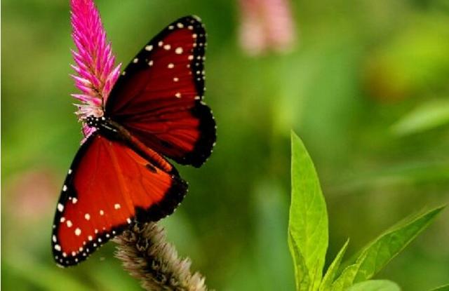 事业单位被老油条欺负怎么办,职场规则与应对方法