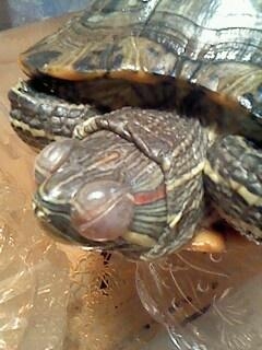 总结一些小病的治疗方法