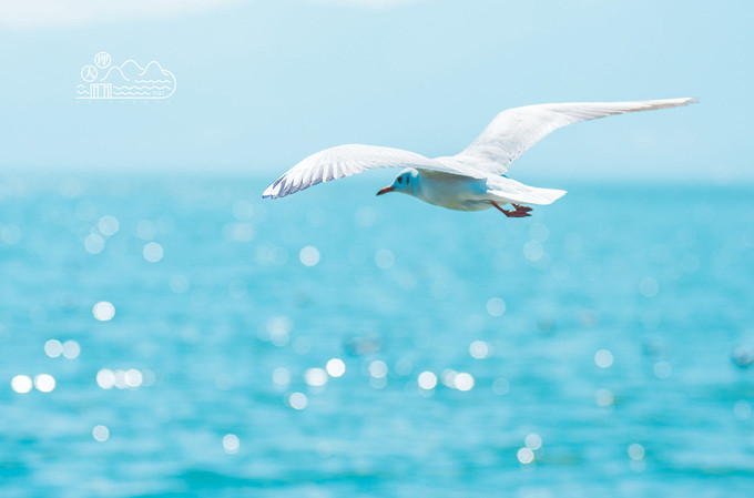 丽江真的能治愈身心的地方,丽江是一个治愈人的城市