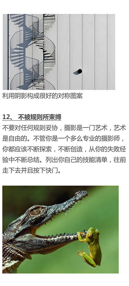 最简单的摄影知识,基本构图摄影技巧