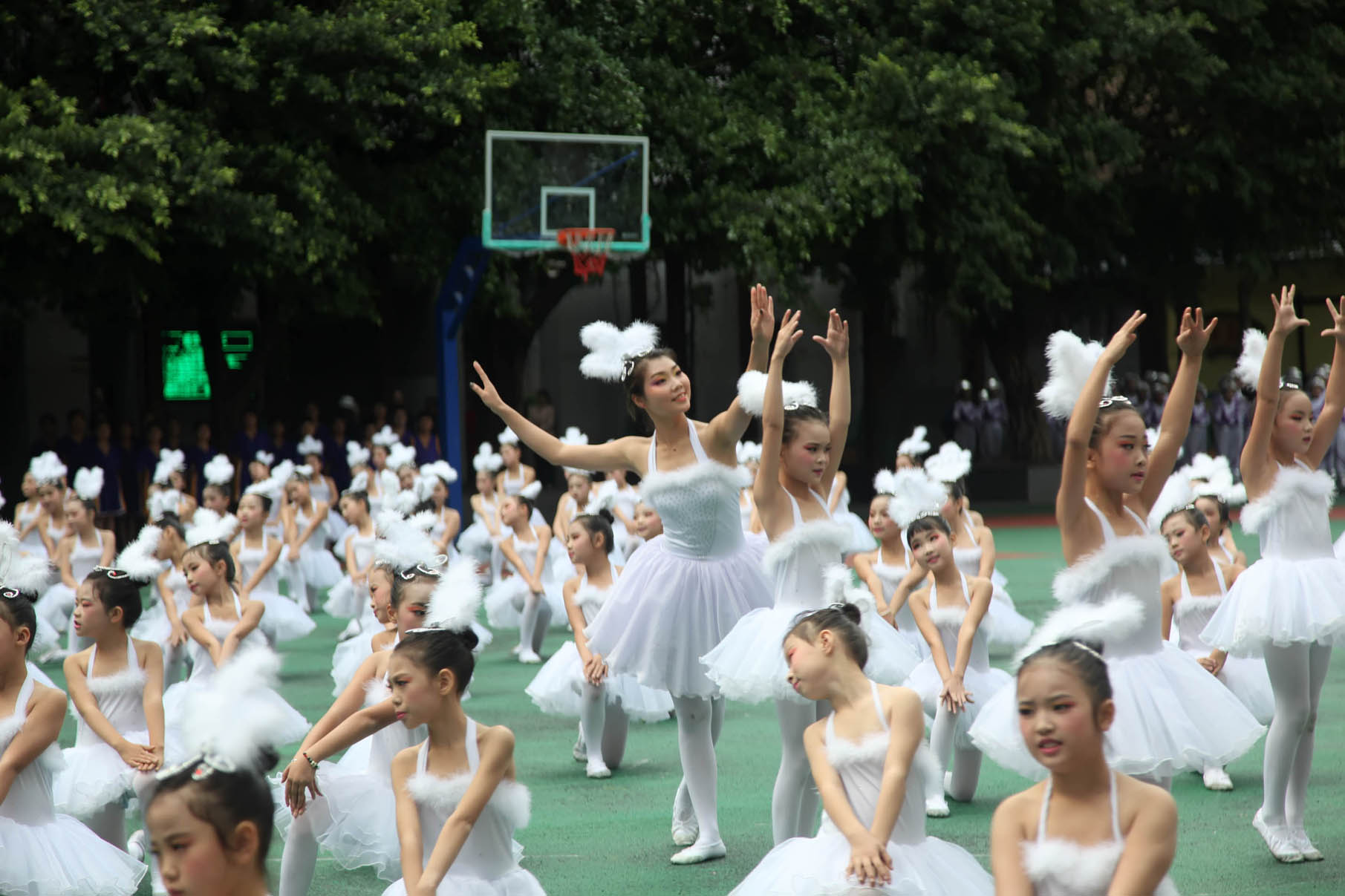 巴州小学篮球赛,巴州小篮球比赛