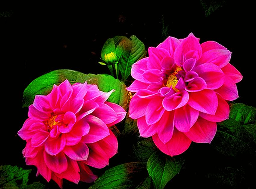 心累睡不着图片,心累睡不着完整版