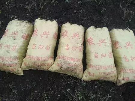 大农业今天行情,大农圈新闻