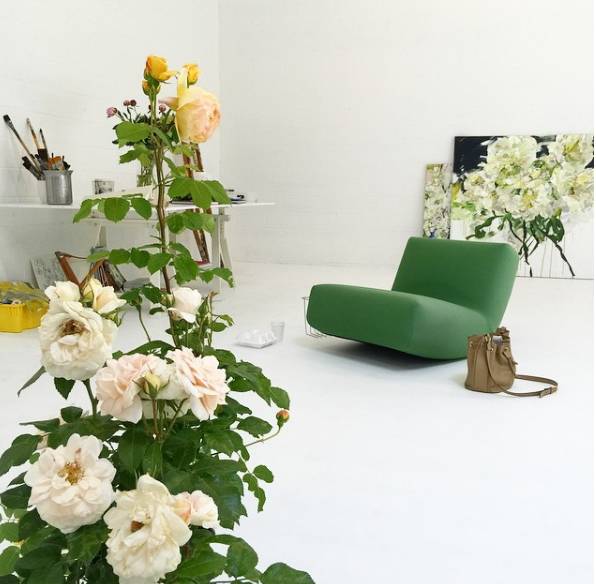 绝不瑟缩于人生的安全角落，只做自由炽烈的花朵