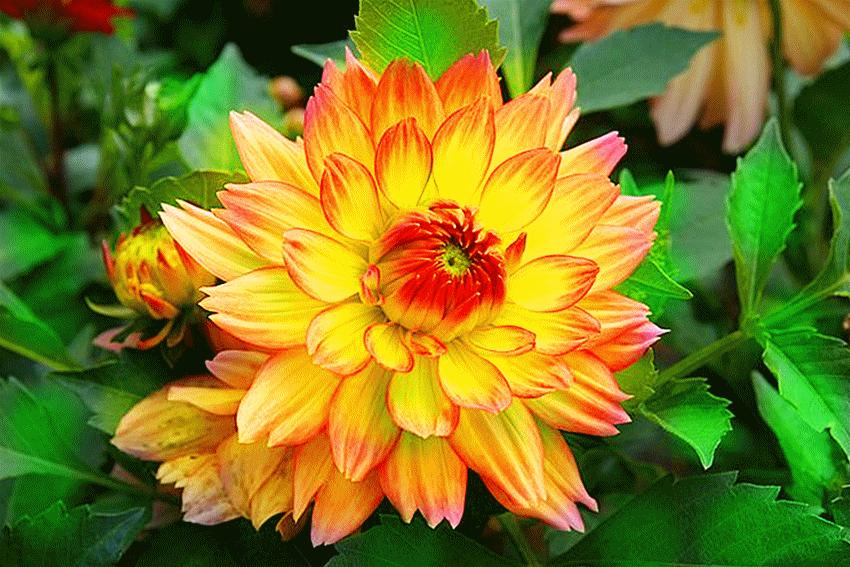 心累睡不着图片,心累睡不着完整版