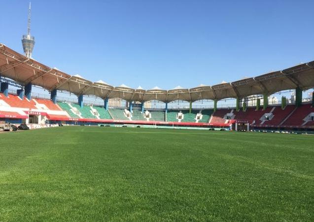 建业球迷胡葆森,河南建业胡葆森边控